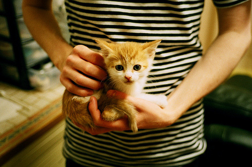 印度赛制改革:向国际化赛事标准看齐,印度的比赛