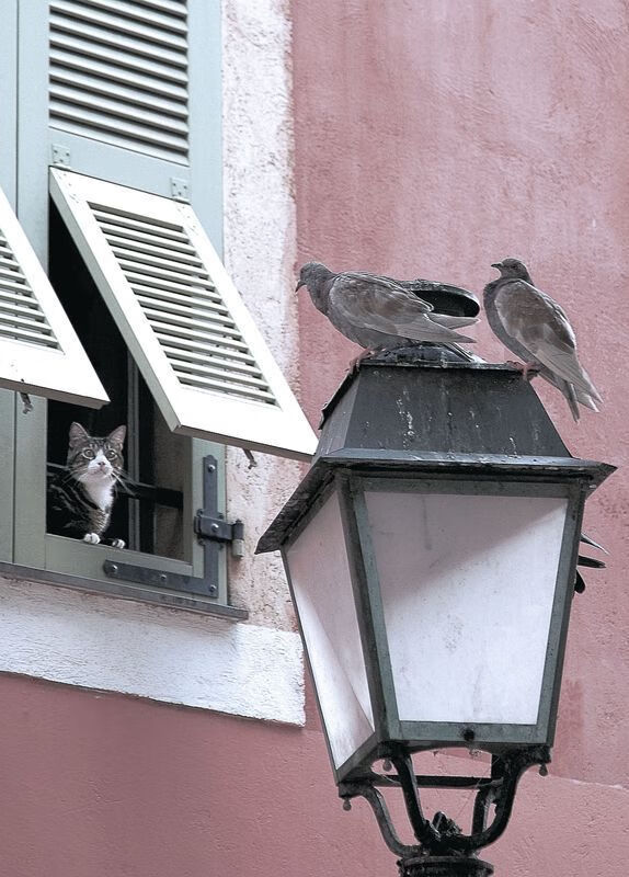 国家队长期缺乏左路突击型选手,国家队长期缺乏左路突击型选手会怎么样