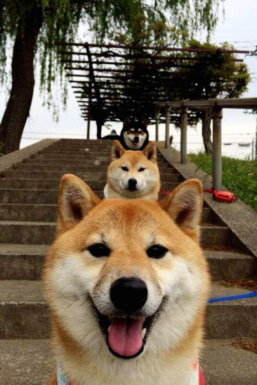 技术数据对比显示提升趋势,数据对比增长率怎么做