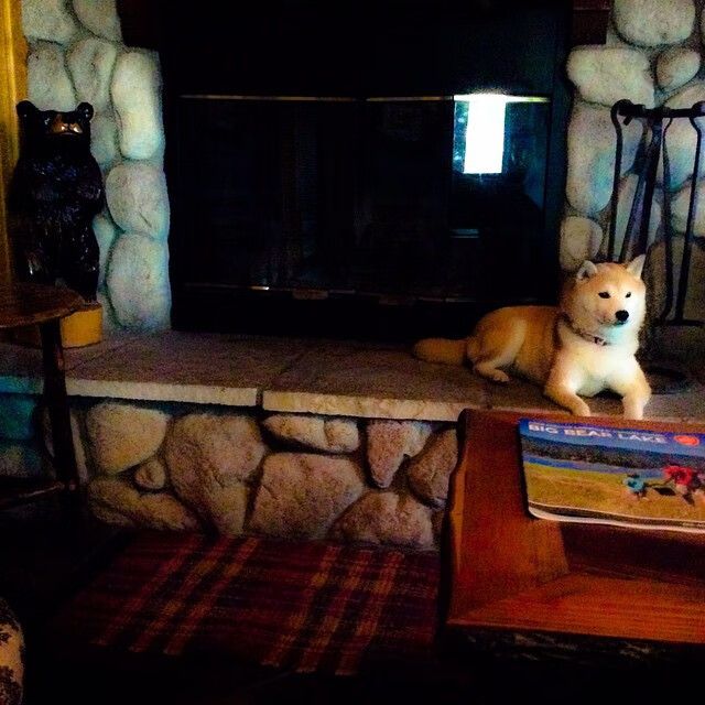 ac米兰中文官方网站-澳女泳队三强之争中稳居第一集团，澳洲泳坛少女惊艳