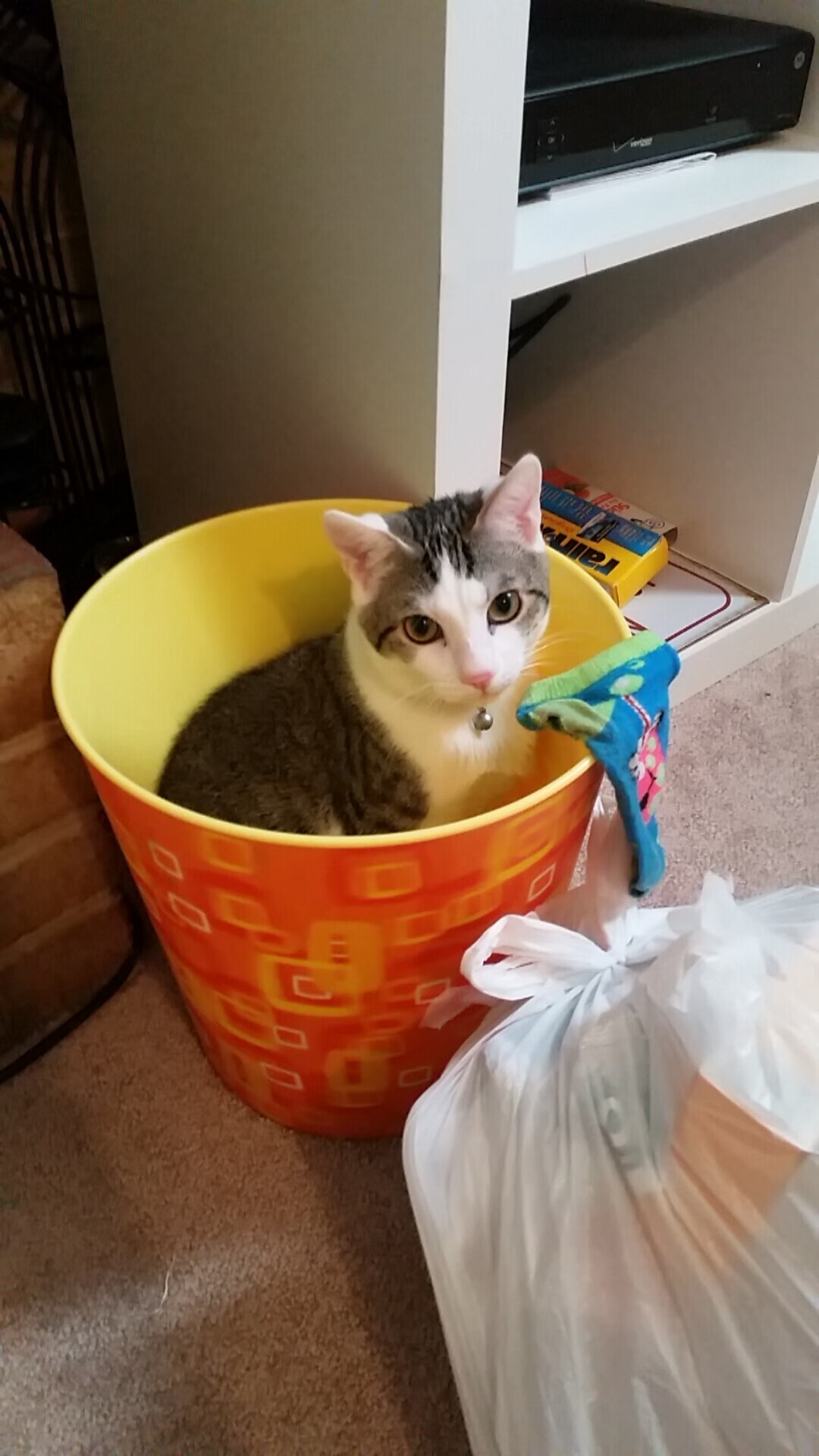 全黑队传球配合精妙，几乎无缝连接进攻与防守，全黑队服