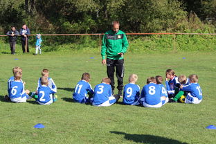 米兰体育官网-欧洲杯总冠军之争：战术智慧与个人能力的较量，欧洲杯冠军百度百科