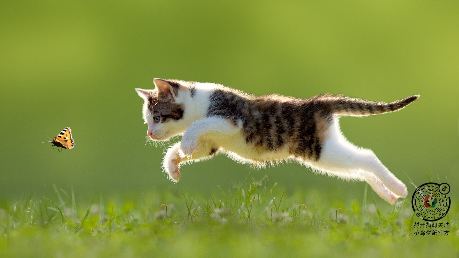 湖人休赛期或迎来大换血,湖人这几天的比赛