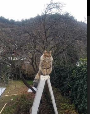 热火召开战术创新讨论营鼓励球员建言献策